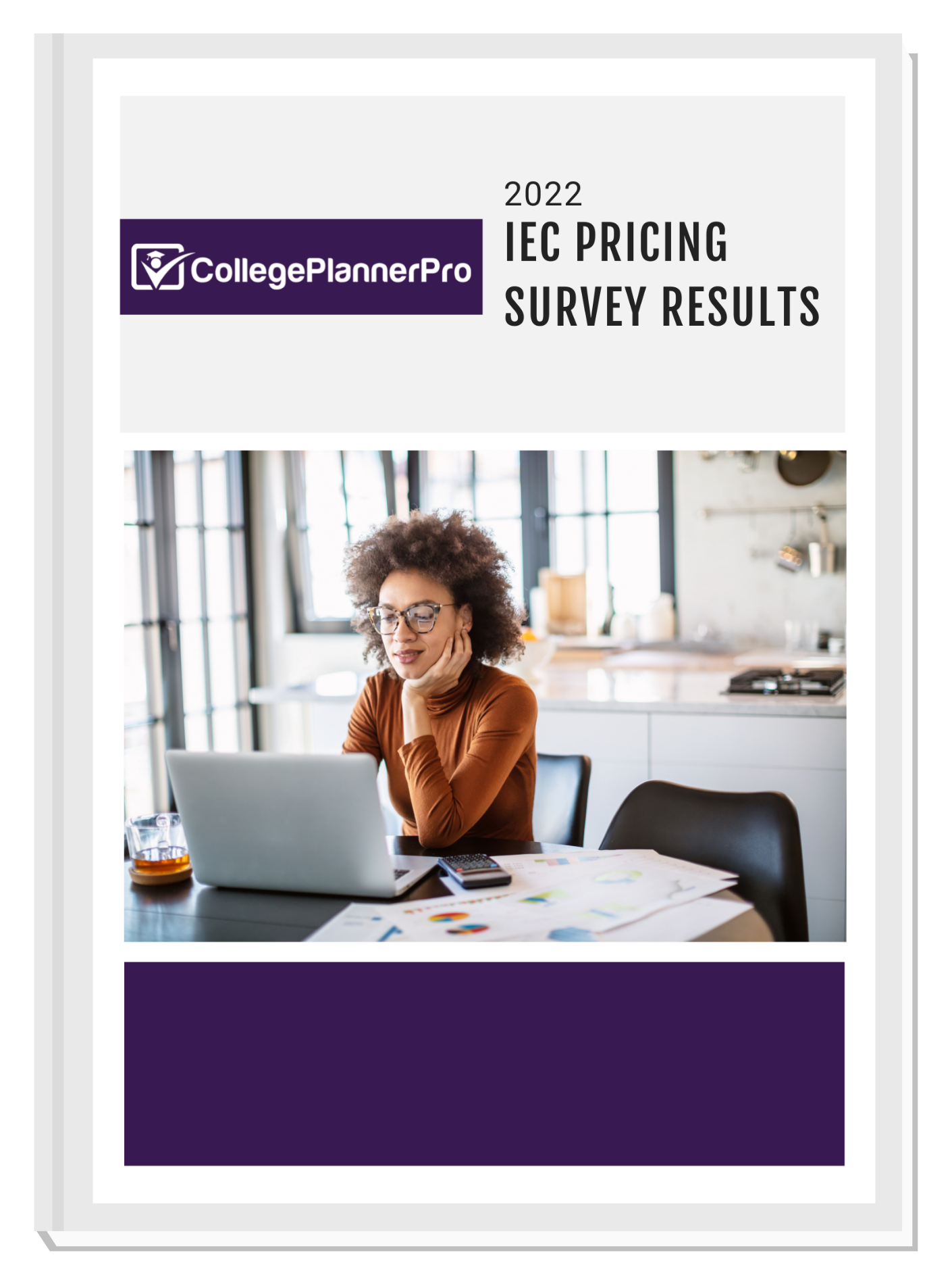 IEC Pricing Survey Cover_3D (2)